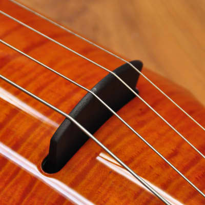 NS Design WAV4c Cello Amberburst Gloss image 5