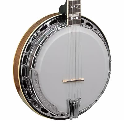 Gold Tone OB-250AT Professional Archtop Bluegrass Banjo - Factory Direct B-Stock image 1