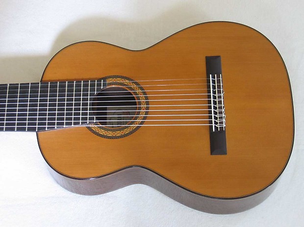 Ten string classical guitar best sale