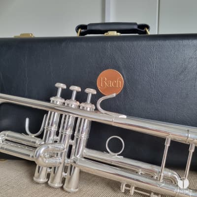 Vincent Bach Stradivarius 37 G GOLDBRASS bell trumpet GAMONBRASS case mouthpiece image 4