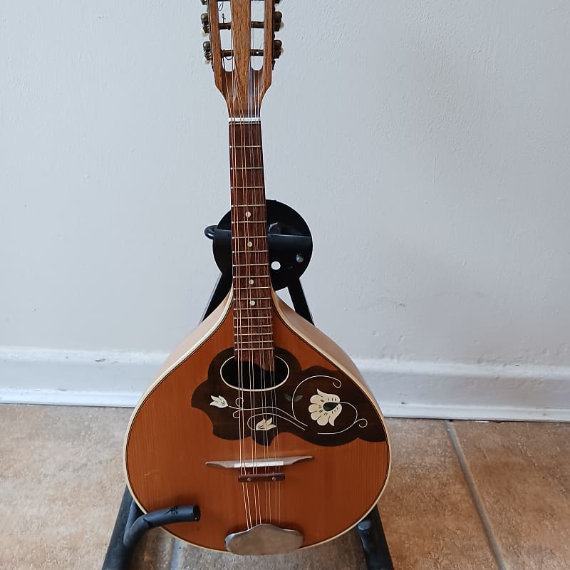 Vintage popular instrument handmade