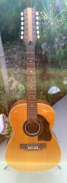Rare Vintage Hoyer 12 String Acoustic Dreadnaught Guitar From Germany