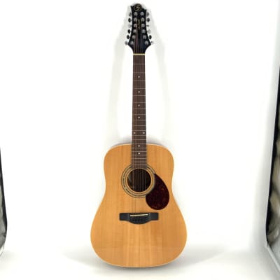Samick Greg Benett Design 12 String Acoustic Guitar Model D-2-12 for sale
