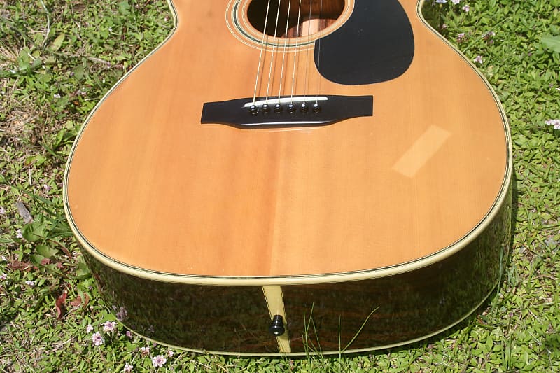 Morris F30 OOO size Guitar MIJ CIRCA1980 - Natural | Reverb