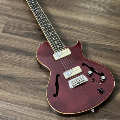 Epiphone Blueshawk Deluxe