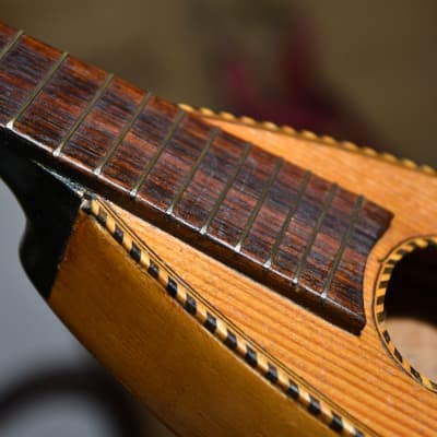 Vintage Taschenmandoline (pocket mandolin), flame maple back, 1900's image 1