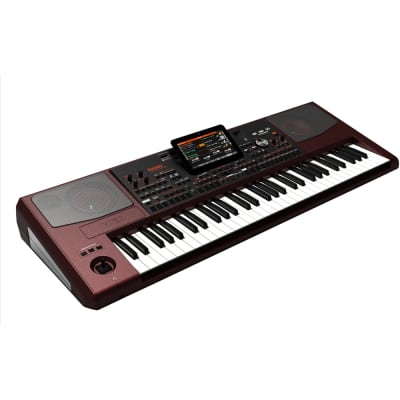 Korg PA1000 Professional Arranger Keyboard image 5