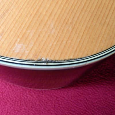 Morris WS30-E Piezo PU fitted 1975-78 Natural image 21