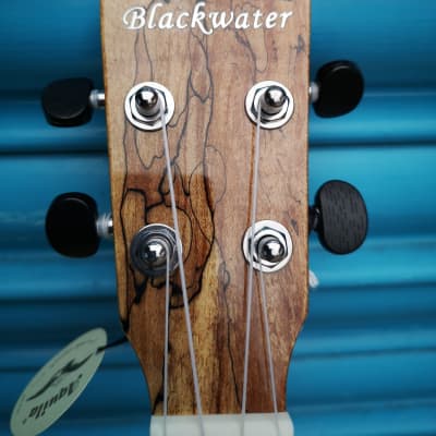 Blackwater YWUK-27FMEQ Tenor Ukulele - Spalted Maple image 4