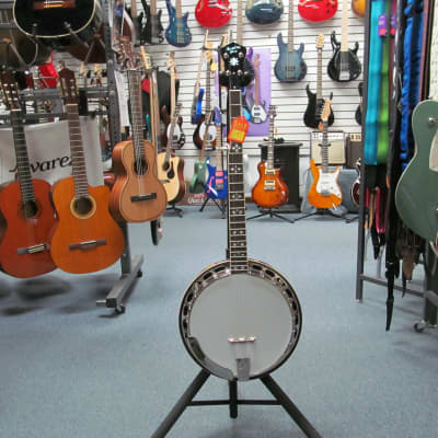 Recording King Bluegrass Series RK-R20 Songster Banjo image 2
