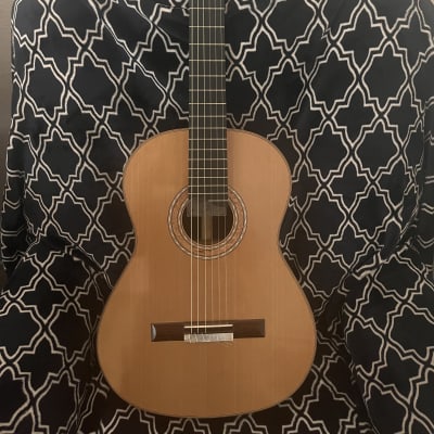 2021 Timothy Steis Cedar Classical Guitar image 1