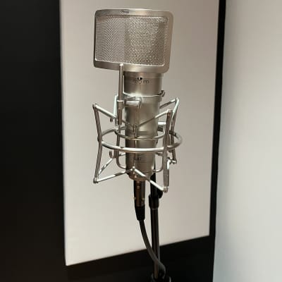 Peluso Microphones P-87 | Reverb