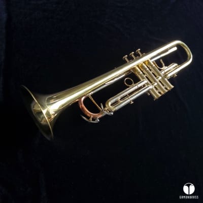 D. Calicchio 1s7 ML Sterling Silver leadpipe trumpet case gamonbrass image 15