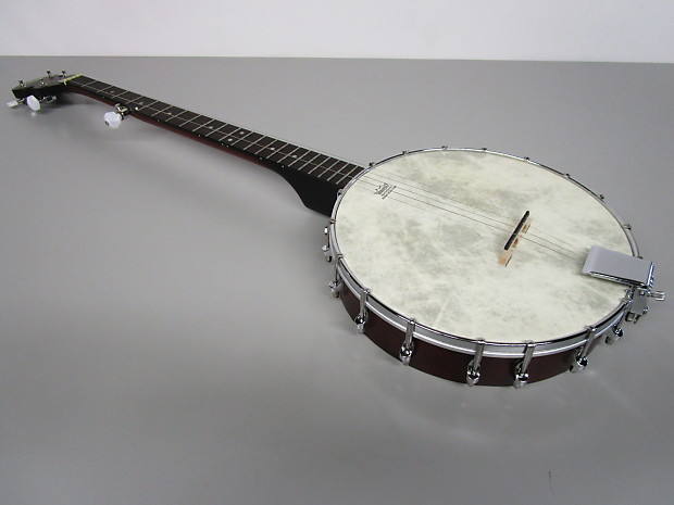 Rogue 5 cheap string banjo