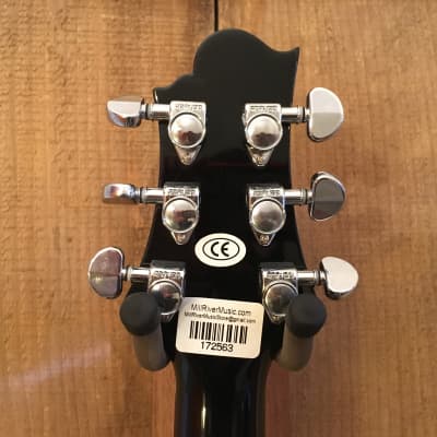 ACOUSTIC GUITARS - THE VAULT - Welcome to the World of Greg
