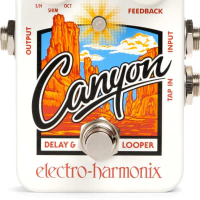 Electro Harmonix Canyon Delay And Looper Pedal image 1