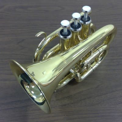 Satin Lacquer ACB Doubler's Large Bell Pocket Trumpet!