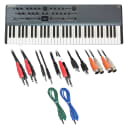 Modal Electronics Argon8X 61-Key Polyphonic Wavetable Synthesizer - Cable Kit