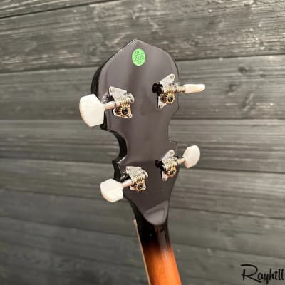 Danville Tenor 4-String Resonator Banjo image 11