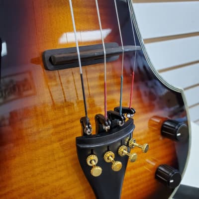 This Fender FV-3 Electric Violin is ready to rock! | Reverb