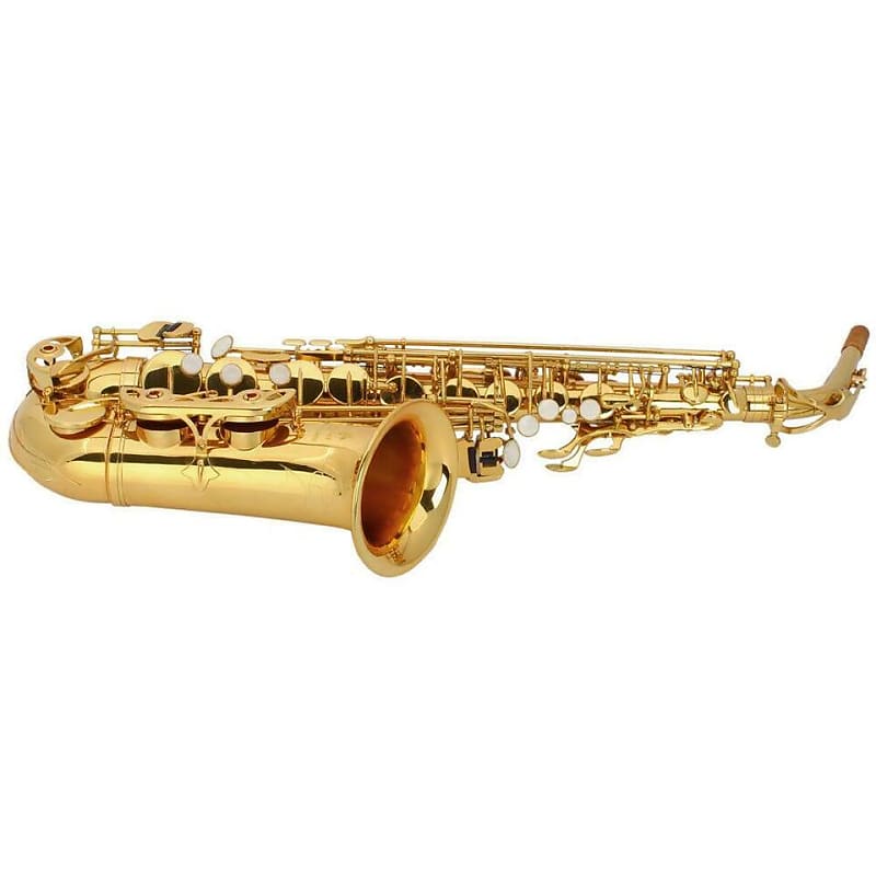 Glarry Student E Flat Alto SAX Saxophone Gold Black