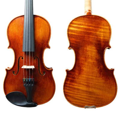 GEWA Mittenwald Karwendel 4/4 Size Violin with Case and Bow | Reverb