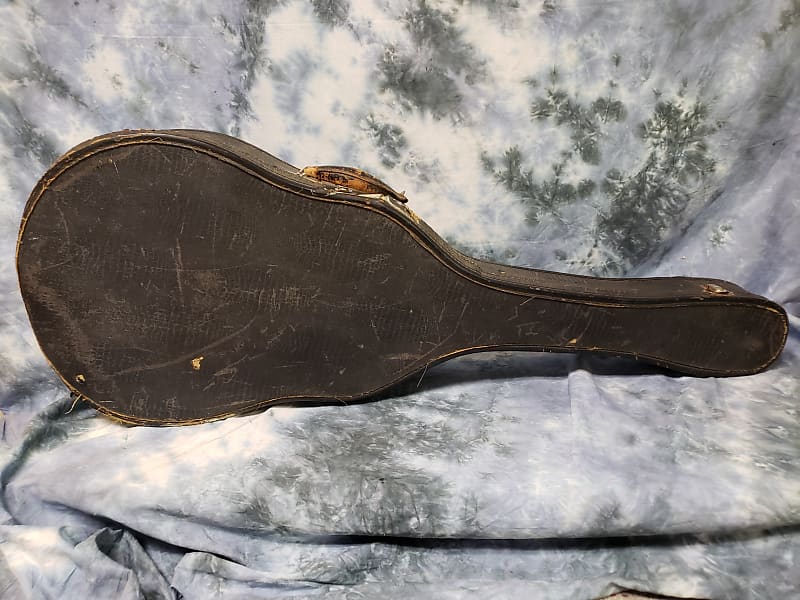 Soft shell guitar online case