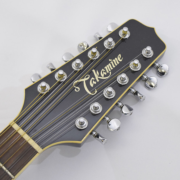 Takamine NPT-110-12 / 12strings | Reverb