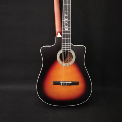 6 Strings Classical/ 6 Strings Acoustic Double Neck, Double Sided Busuyi Guitar 2020. image 1