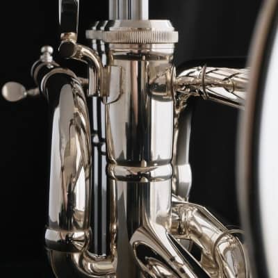 Brasspire Unicorn Piccolo Trumpet: Amazing Value and Performance! Bild 1