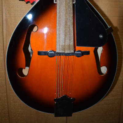 Indiana Mandolin 2000's - Sunburst image 3