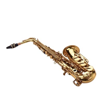 Golden Eb Alto Saxophone Sax Brass Body White Shell Keys Woodwind Instrument with Gig Bag Case image 4