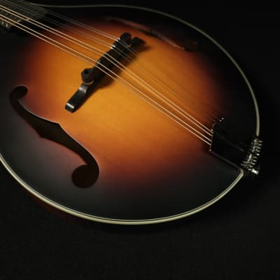 Eastman MD305E-SB A Style Mandolin with Pickup and Bag image 11