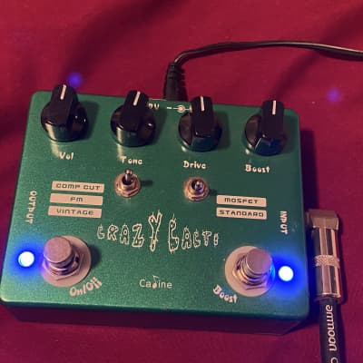 Caline CP-20 Crazy Cacti Overdrive 2010s - Green image 2