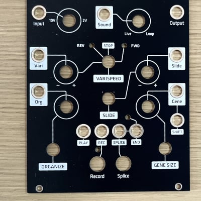 Grayscale Make Noise Phonogene (Grayscale panel) - Eurorack