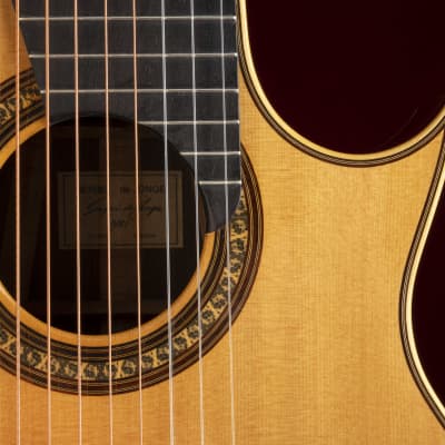 Immagine 1981 Sergei de Jonge 10 String Classical Guitar - Brazilian Rosewood, Luthier Letter of Appraisal - 1