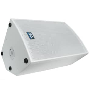 New SEISMIC AUDIO 15" White PA/DJ Speaker/Floor Monitor image 5