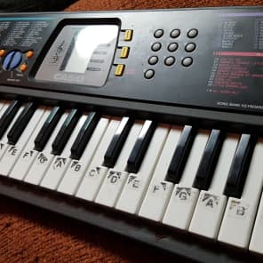 Vintage Casio SA 65 Small Keyboard Synth Works Great Good For Circuit Bending Reverb