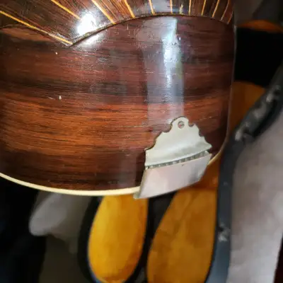 H. SCHETTEL Mandolin Bowl Style  1890-1930 Blond image 7