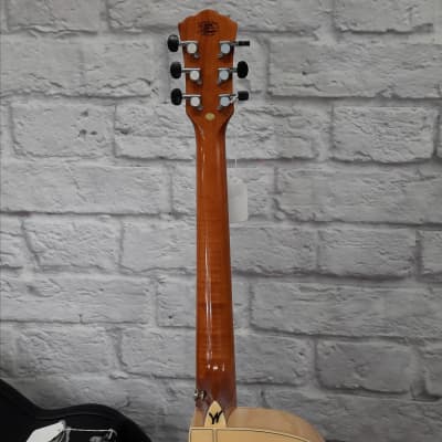 Washburn AG40CEK-A-U Arch top Guitar w/Hardcase image 9