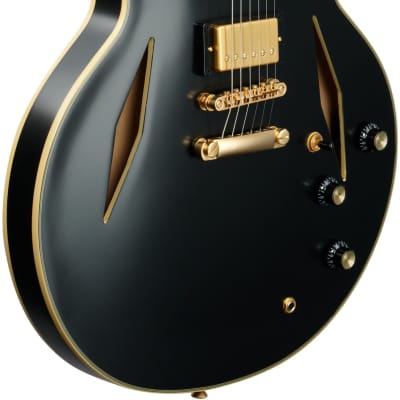 Epiphone Emily Wolfe Sheraton Stealth Electric Guitar (with Hard Bag), Black Aged Gloss image 4