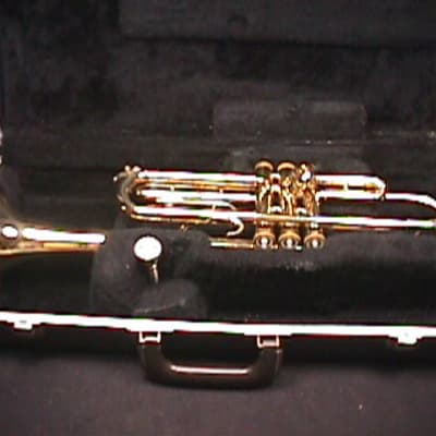 A Bundy Bb Trumpet in it's Original Case & Ready to Play   16 T image 1