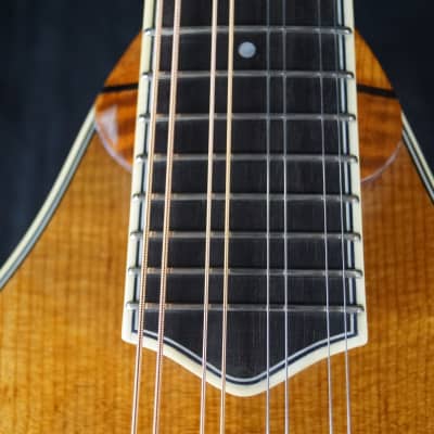 Brand New Bourgeois A Style Mandolin Model M5A Adi Top / Flamed Bosnian Maple ALL TORRIFIED image 11