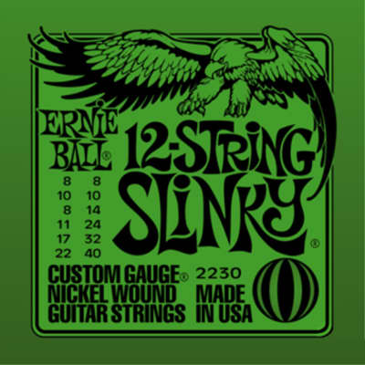 Ernie Ball 2230 12-String Slinky Nickel Wound Electric Guitar Strings (8-22/8-40)
