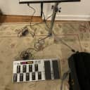 Roland VG-99 with FC-300 MIDI Foot Switch, Bag, Stand, Power Cable