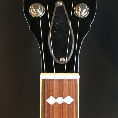 2020 Gold Star GF-100JD JD Crowe Bluegrass Album Banjo w/ Case image 8