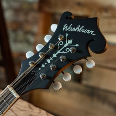 Washburn M3EK-A | Acoustic / Electric F-Style Mandolin Pack. New with Full Warranty! image 4