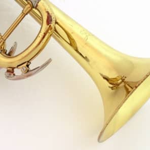 Swallow 50LN | Reverb