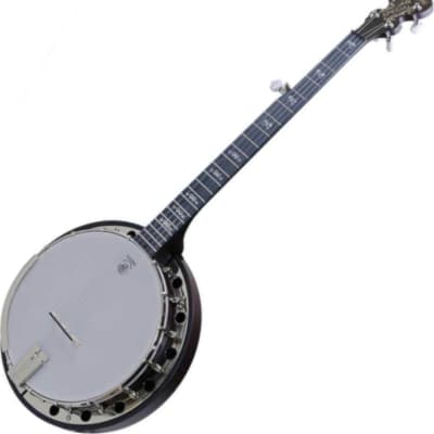 Deering AS Artisan Goodtime Special Banjo with Resonator image 1