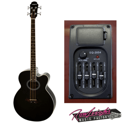 Aria FEB-30M Elecord Series Acoustic Electric Bass in Black with Bag for sale